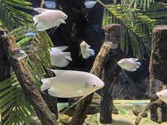 -重庆欢乐海底世界