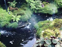 -Chom Cafe and Restaurant