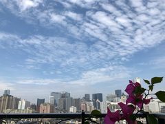 -南街牛肉麺(南街店)