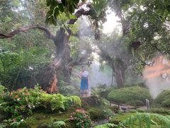 -Chom Cafe and Restaurant