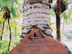 -海口喜来登酒店