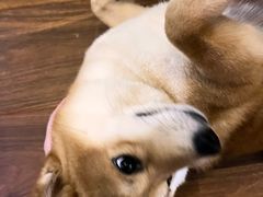 -天地無用GAME BAR