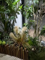 -LEILEI NAIL蕾蕾美甲美睫