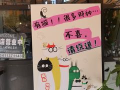 -豆逗聊愈猫阁Easy Life