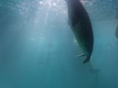 -青岛海底世界-水族馆