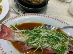 东星斑-凤城礼记鱼翅海鲜酒家(新马路总店)