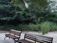 -富斯特索道