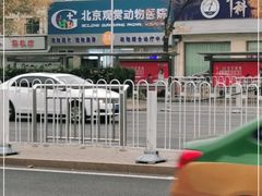 -北京观赏动物医院·24小时大型综合·猫专科·异宠专科