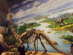 -自贡恐龙博物馆