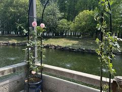 -明翠湖品·湖景餐厅
