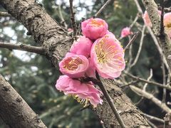 -九龙潭景区