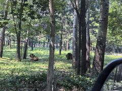 -秦皇岛野生动物园