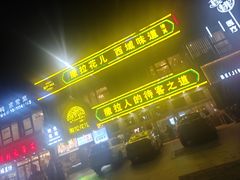 -撒拉花儿·新疆菜·清真(太阳宫店)