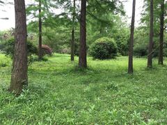 -蜀冈西峰生态公园