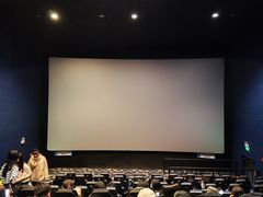 -SFC上影影城(北京大兴龙湖天街IMAX店)