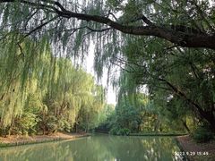 -同里国家湿地公园