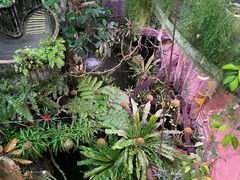 -正佳雨林生态植物园