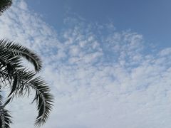 -八婆婆烧仙草(中山路店)