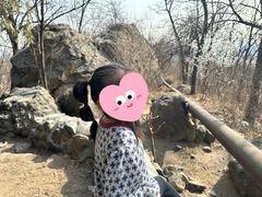 -阳台山自然风景区