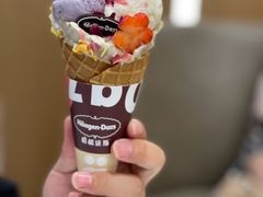 -哈根达斯(国瑞店)