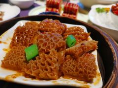 -点都德·毕德寮