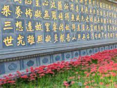 -西安大兴善寺