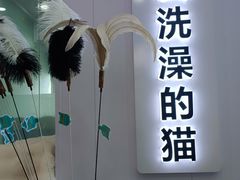 -爱洗澡的猫(望京店)