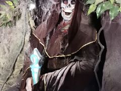 -美的鹭湖探索王国