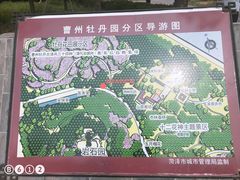 -曹州牡丹园