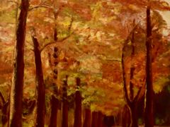 -金泽21世纪美术馆