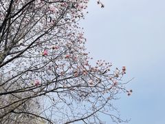 -三里河公园