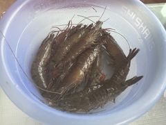 -蚝乡农庄(铁涌赤岸店)