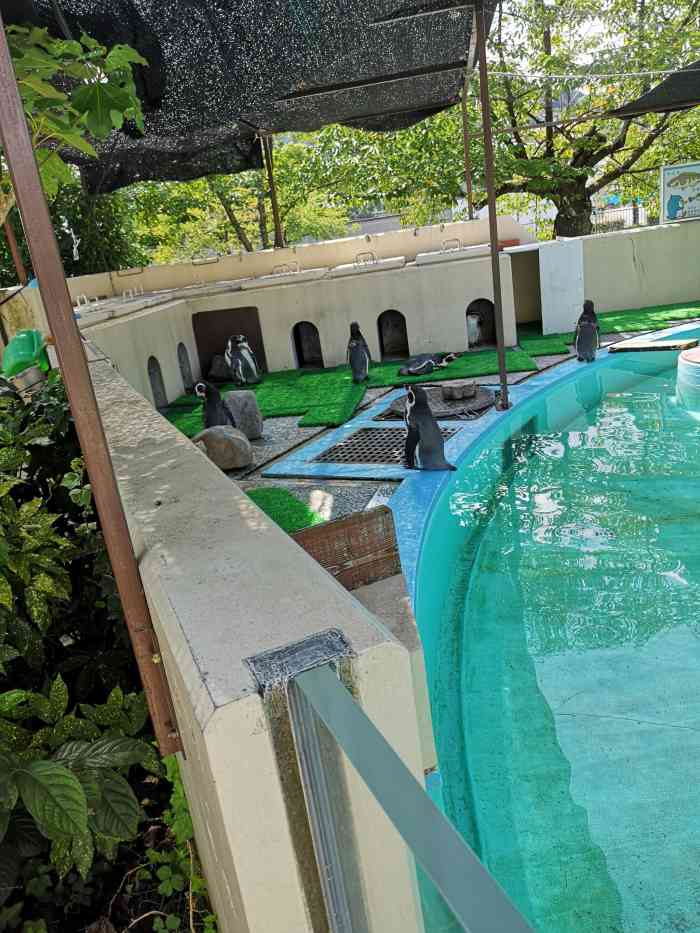 京都市动物园-"不算大,但很多动物都有,而且可以近距离相.