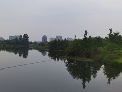 -眉山湿地公园(东坡区)