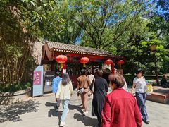 -西安曲江寒窑遗址公园