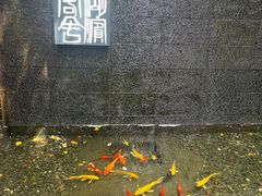 -湖滨客舍·湖北菜