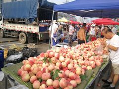 -三旗百汇商品城