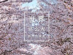 -高东镇樱花园
