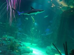 -沈阳海洋探索中心