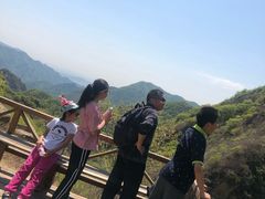 -大岭沟猕猴桃谷风景区