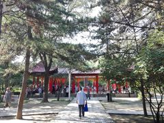 -青城公园