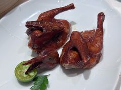 乳鸽-金苑海鲜酒家(来魅力店)