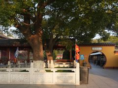 -上海东林寺(金山区)