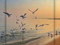-金梦海湾浴场