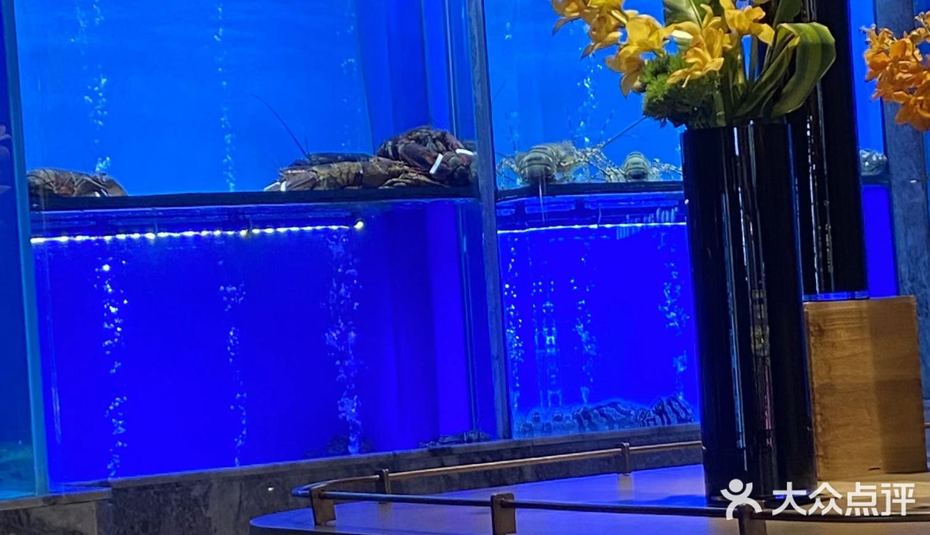 成都探店| 南门打工人你不可错过的早茶！