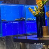 成都探店| 南门打工人你不可错过的早茶！