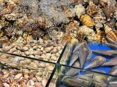 -三亚火车头万人海鲜广场