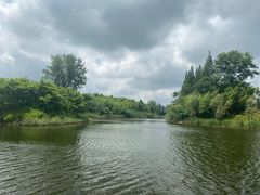 -黄海国家森林公园