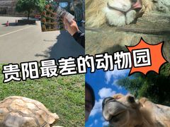 -贵州森林野生动物园
