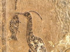 -徐州汉画像石艺术馆